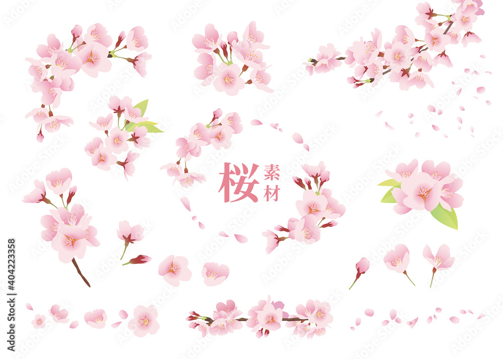 桜の花 イラスト素材 ワンポイント 装飾 デザインパーツ カラー 線なし 白背景 Canvas Voor Buiten