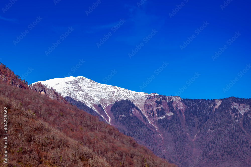 Mountain spring landscape. Warm sunny day in the mountains, spring.