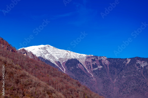 Mountain spring landscape. Warm sunny day in the mountains, spring.