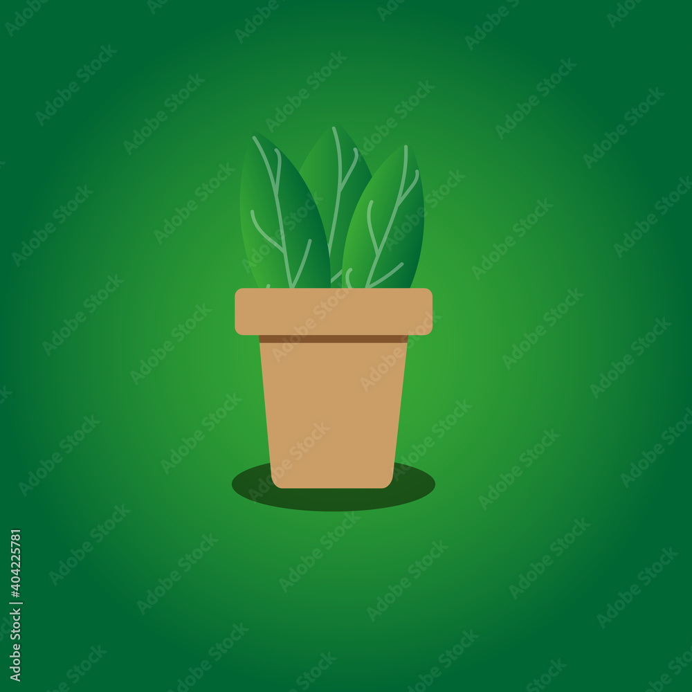 Plant Plant