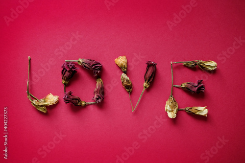 Flower font word love made of Real withered flowers. Flora font for valenine day at red background. Copyspace