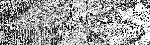 Wallpaper Mural Abstract background. Monochrome texture. Image includes a effect the black and white tones. Torontodigital.ca