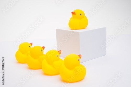 Concept of leadership and teamwork. A group of yellow ducks listening to their leader, isolated on white background.