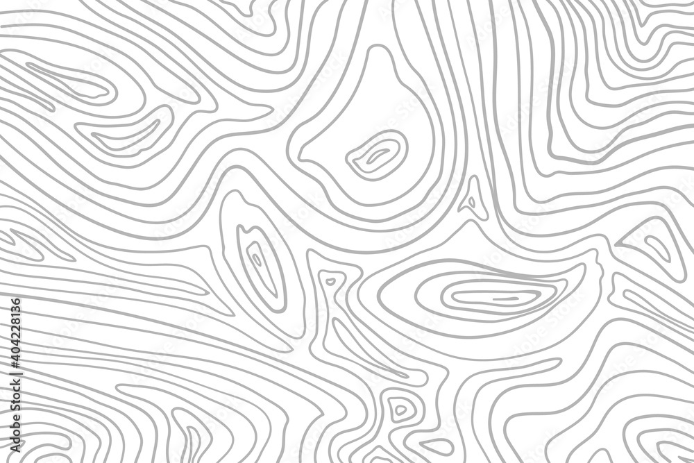 Topographic map contour vector mountains. Relief background. Contour map of the area. Vector outline background