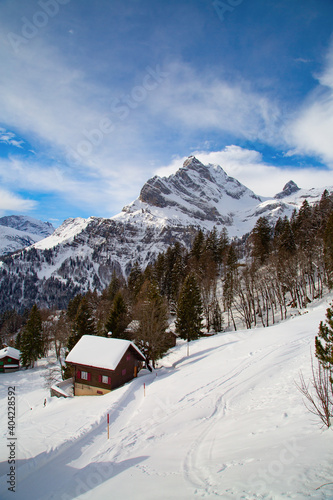 Fototapeta Naklejka Na Ścianę i Meble -  Winter in the alps