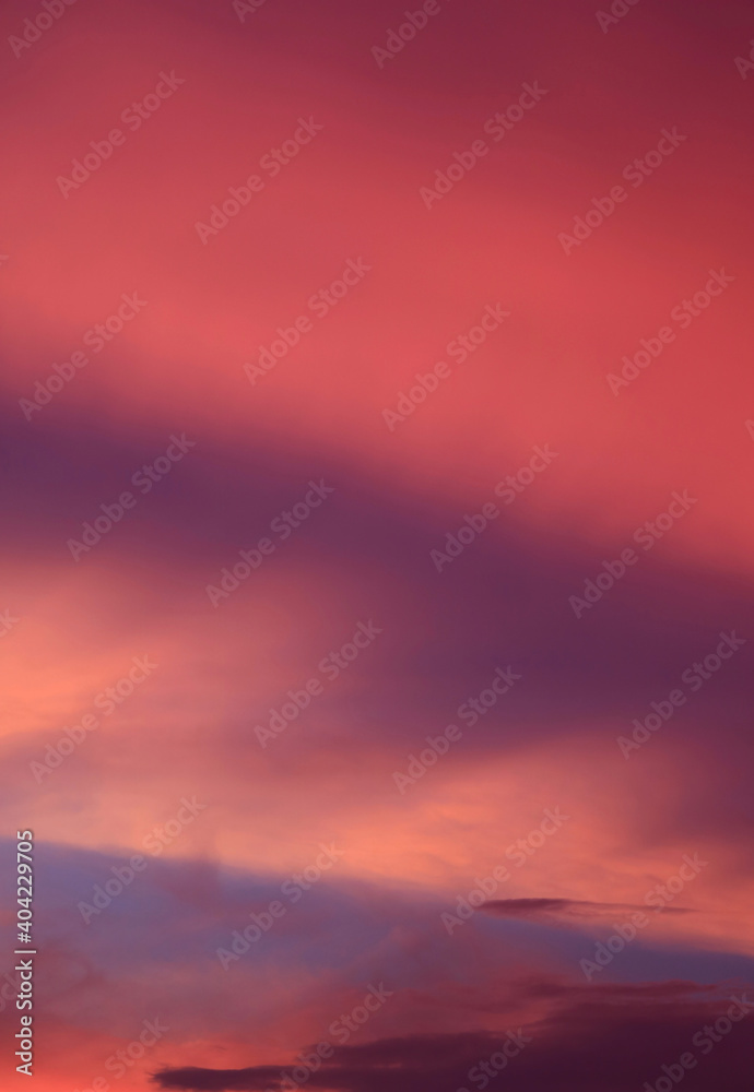 Obraz premium Gradient Purple Pink Cloud Layer on the Evening Sky for Abstract Background