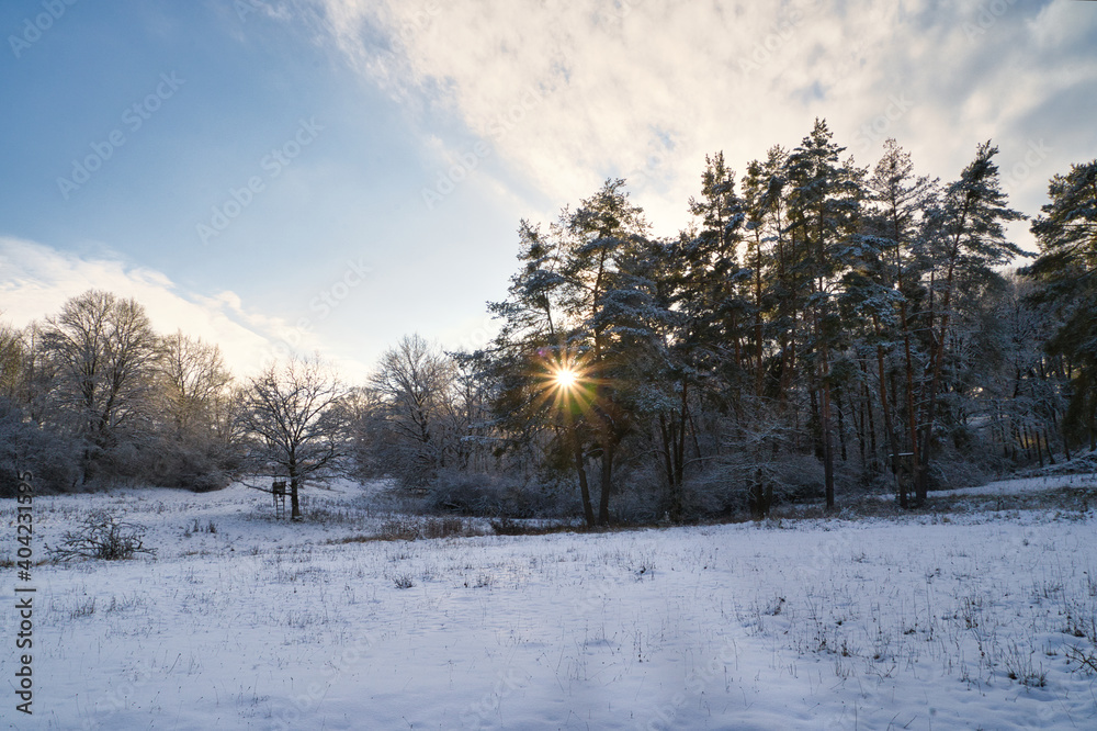 Im Wald - Sonnenstrahlen scheinen durch die Bäume im Abendrot - Energie auftanken in der Natur Landschaft Im Wald - Sonnenstrahlen scheinen durch die Bäume im Abendrot - Energie auftanken in der Natur Landschaft