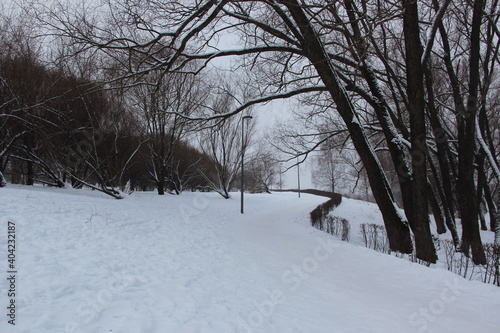 Winter landscape. Snow-covered park in the early morning © Natalia