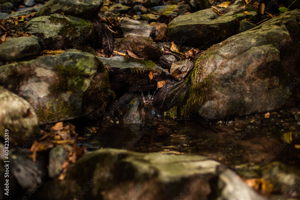 Forest waterfall on mossy stones. Mossy forest waterfall stream. Waterfall in mossy forest. Mossy waterfall view Forest waterfall on mossy stones. Mossy forest waterfall stream. Waterfall in mossy forest. Mossy waterfall view