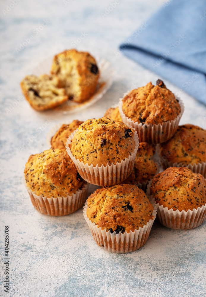Homemade chia seed and cranberry muffins. Homemade chia seed and cranberry muffins.