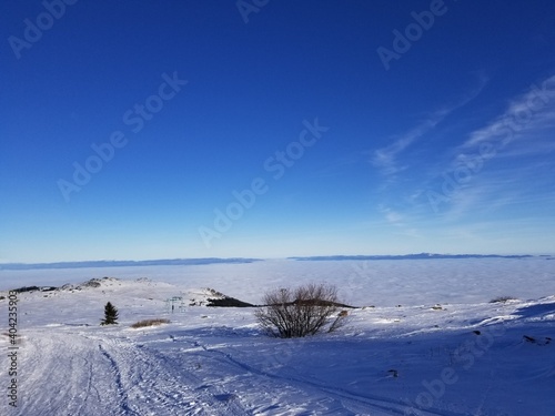 Vitosha mountain near Sofia  Bulgaria in winter time