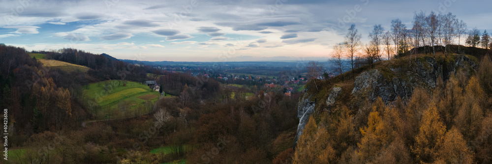 Panorama of the autumn forrest