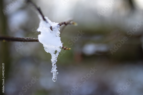 Fotografía Wasser taut mit Schnee und Wassertropfen am Ast Zweig