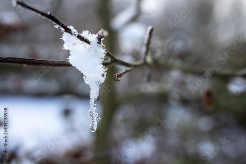 Ein Wassertropfen hängt mit Schnee und Eis am Zweig