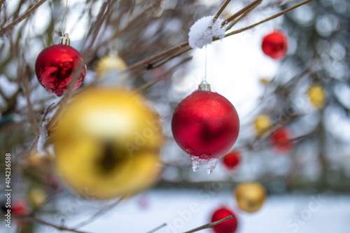 Große Weinachsbaumkugeln Christbaumkugeln hängen am Baum im Garten photo