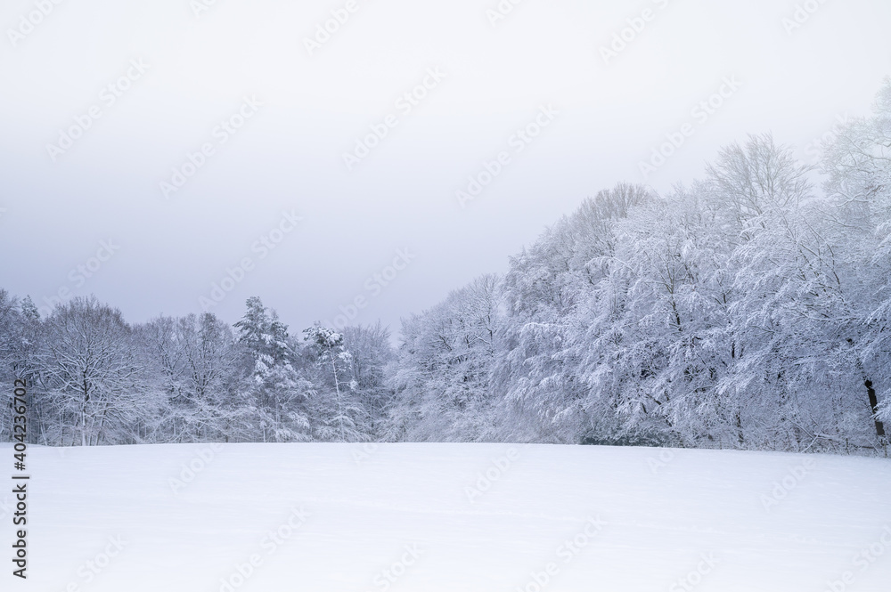 Eiskalte Winterlandschaft mit Schnee und einem Wald mit Nebel am Morgen Eiskalte Winterlandschaft mit Schnee und einem Wald mit Nebel am Morgen