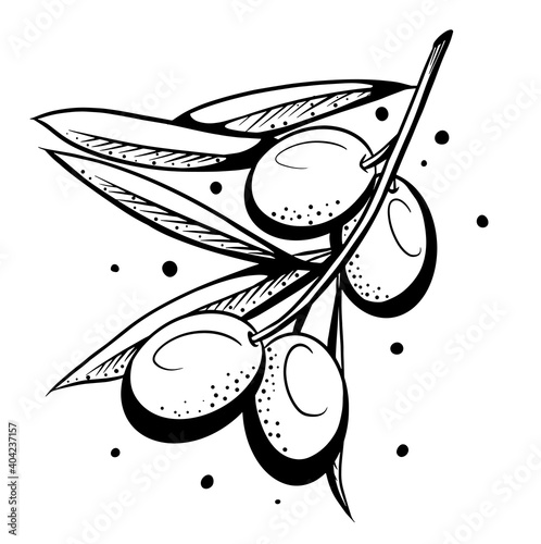 Hand-drawn olive branch.