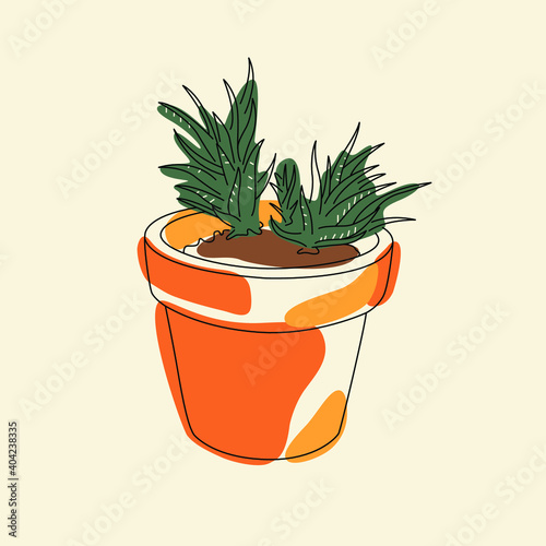 Succulent plant in an orange flower pot