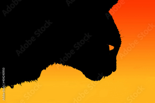 Profilo astratto di muso di gatto nero con sfondo incandescente photo