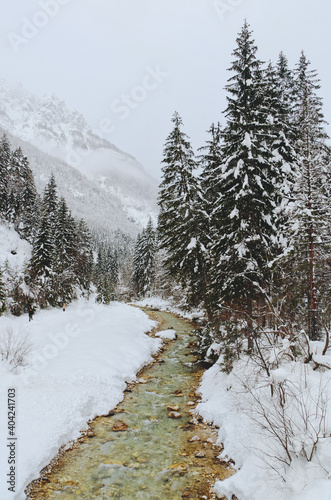 Scenic view of winter landscape with snow covered trees and mountain river in Alps, Slovenia. Beauty of nature concept background. © Oleksandra