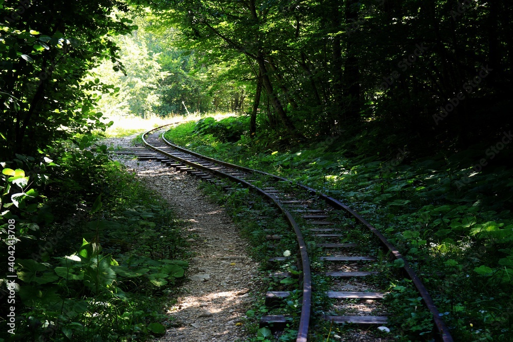 Obraz premium nature