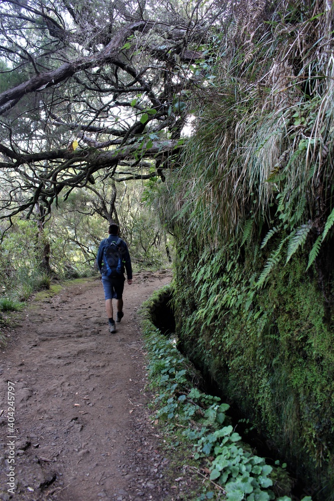 Levada Walk Hike to the 25 Fontes in Madeira, Portugal. Man walking in front