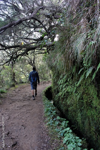 Levada Walk Hike to the 25 Fontes in Madeira, Portugal. Man walking in front