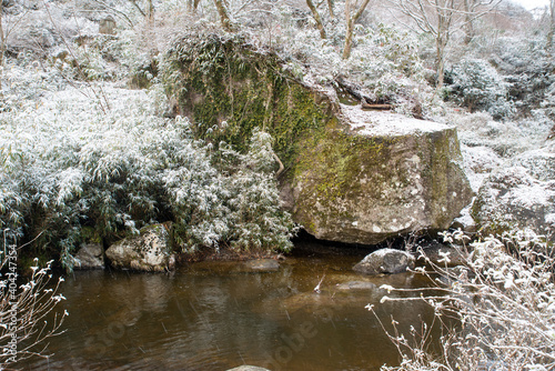 Yamautsuri River in Fukaya Maki, Nakatsu City, Oita Prefectur photo