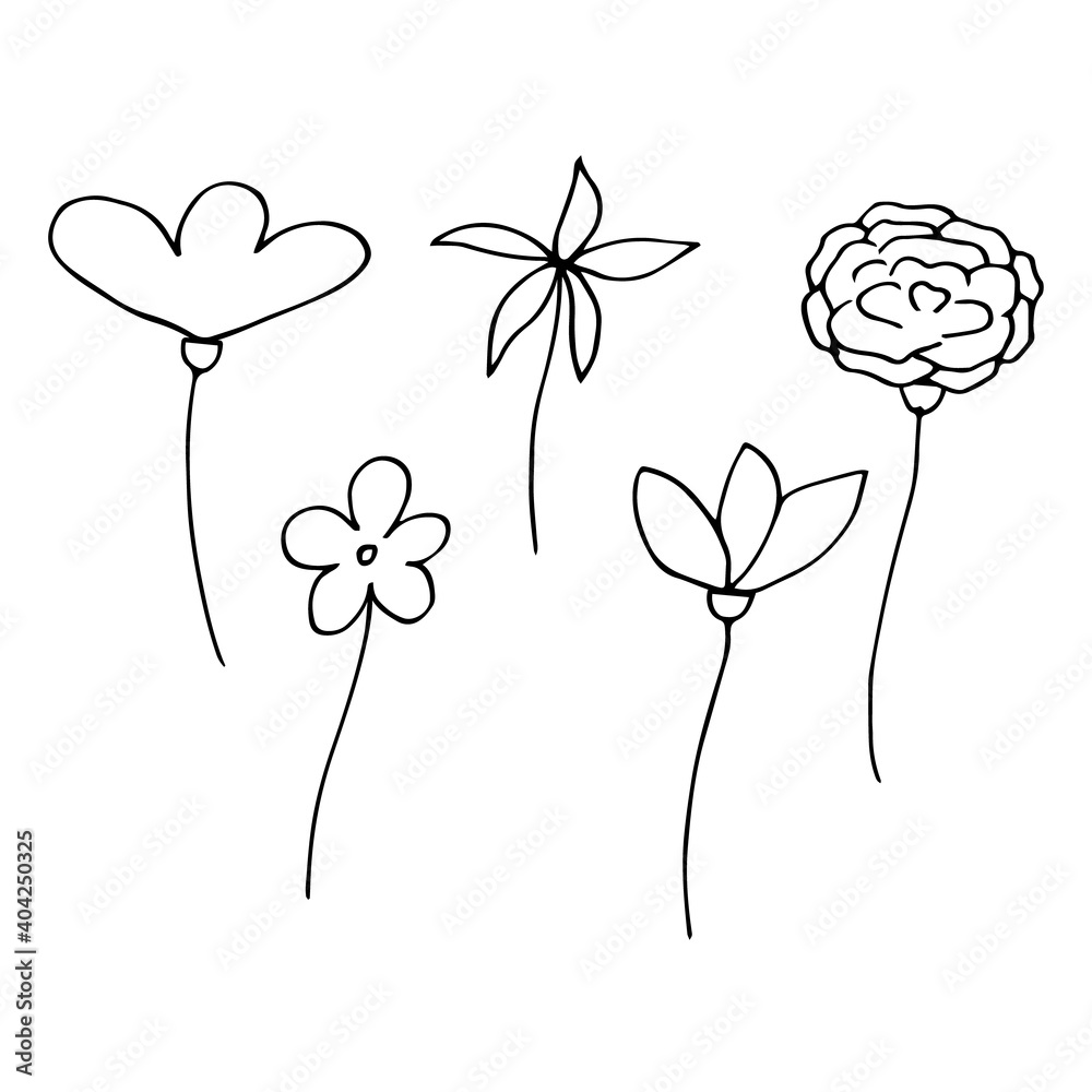 Fototapeta Set of flowers, vector doodle illustration