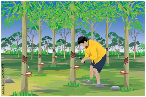 agriculturist Rubber tapping  in garden vector design