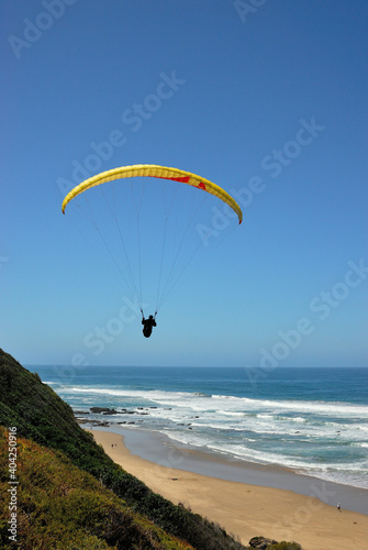 A paraglider cruising along the beach like a sea bird