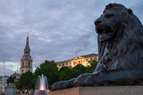 Photography lion in central london