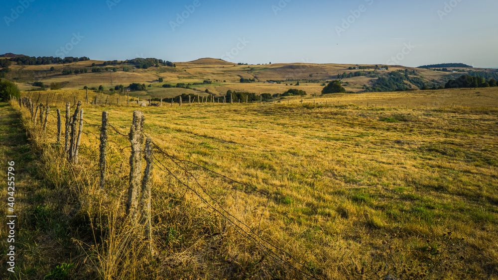 grazing and fields as far as the eye can see, typical landscape of rural Auvergne in France