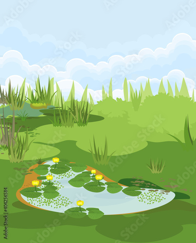 Abstract marsh landscape with pond overgrown with flowering yellow water-lily (Nuphar lutea) with green leaves