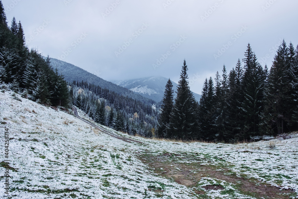 Fototapeta premium First autumn sudden snow in Carpathian mountains