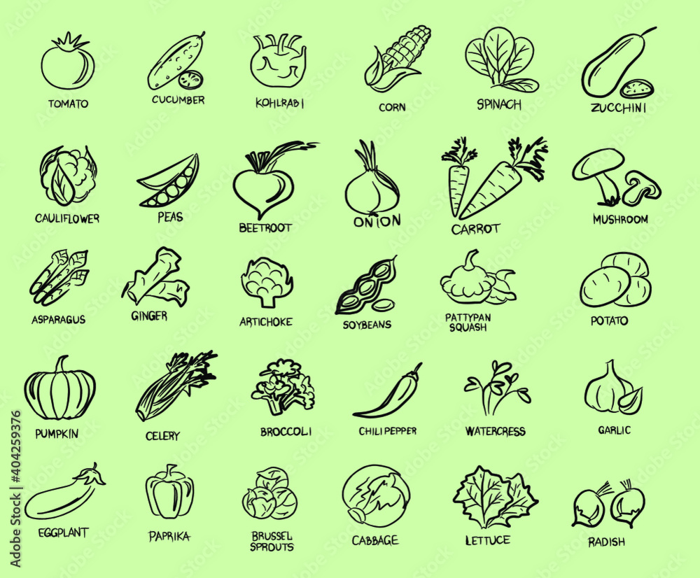 Vegan set of icons with vegetables. A vegan and a vegetarian. Vegetables, mushrooms, grass and roots. Proper nutrition. Vegetable food. Vector isolated image. Vegan set of icons with vegetables. A vegan and a vegetarian. Vegetables, mushrooms, grass and roots. Proper nutrition. Vegetable food. Vector isolated image.