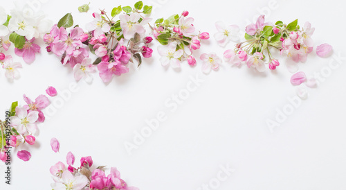 Fototapeta Naklejka Na Ścianę i Meble -  pink and white apple flowers on white background