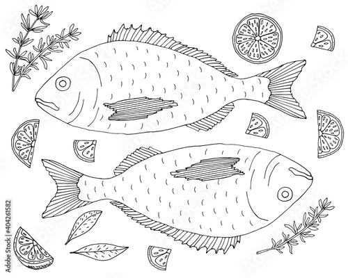 Fish dorado with lemon and thyme hand drawn, isolated. Fish dish, coloring page. Vector illustration