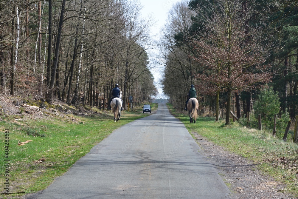 Obraz premium 2 Reiter im Wald