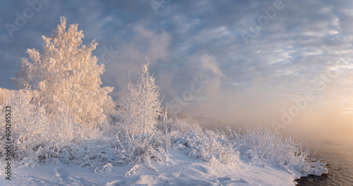 Winter morning at Reftinsky reservoir with snow-covered forest, Russia, Ural in January