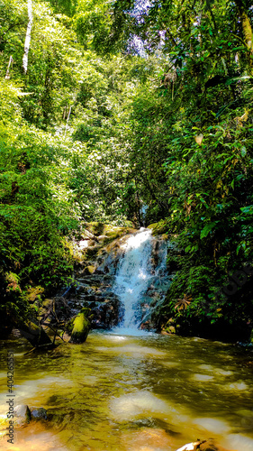 Fototapeta Naklejka Na Ścianę i Meble -  waterfall ninfas in the forest