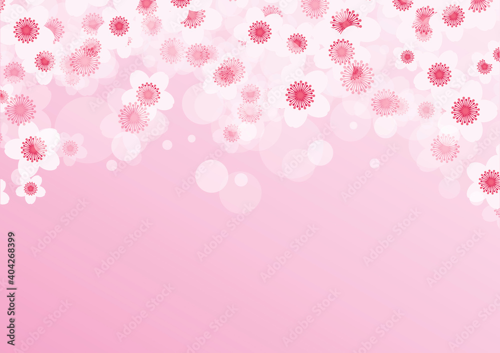 Pink spring background with cherry blossom flowers vector illustration. Spring floral background with pink sakura flowers vector. Beautiful spring pink flowers banner vector