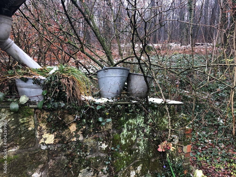 Alte Zink Eimer auf bewachsener Gartenmauer, Wasserquelle alte Eimer Alte Zink Eimer auf bewachsener Gartenmauer, Wasserquelle alte Eimer