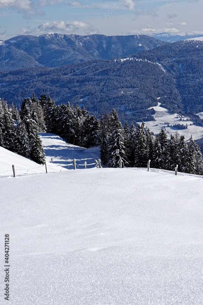 Fototapeta premium ski resort in winter