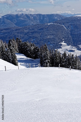 Fototapeta Naklejka Na Ścianę i Meble -  ski resort in winter