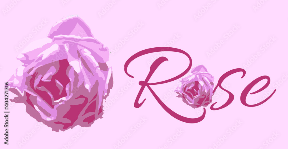 Abstract rose vector pink rose pattern drawing vectors