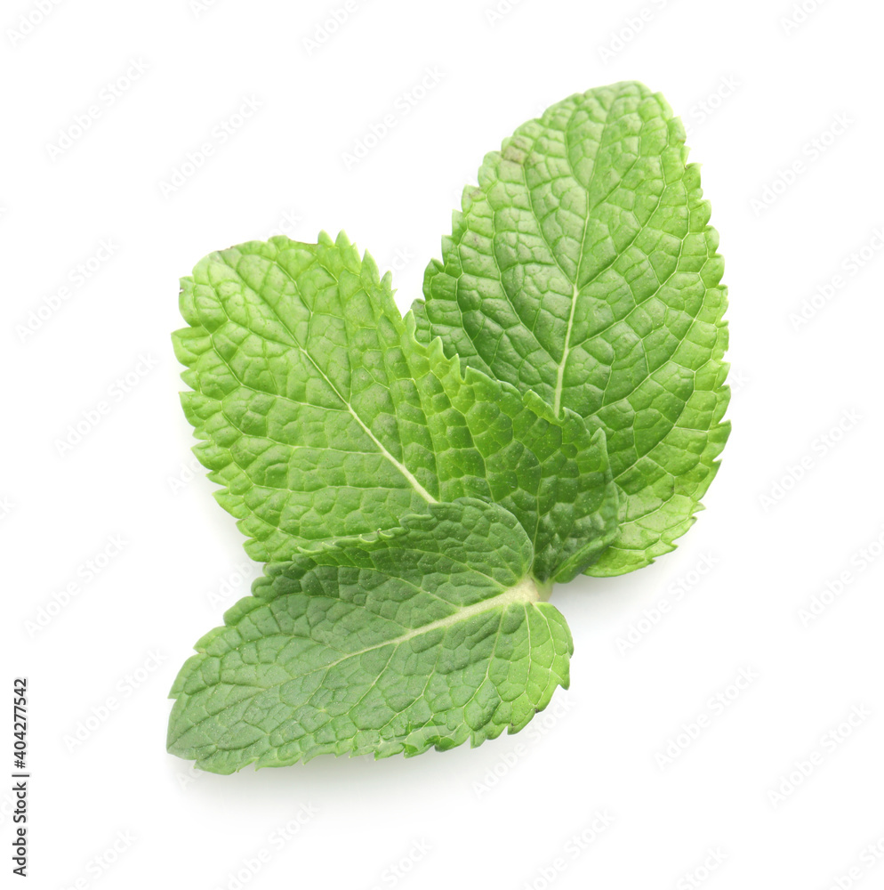 Fresh green mint leaves isolated on white, top view Fresh green mint leaves isolated on white, top view