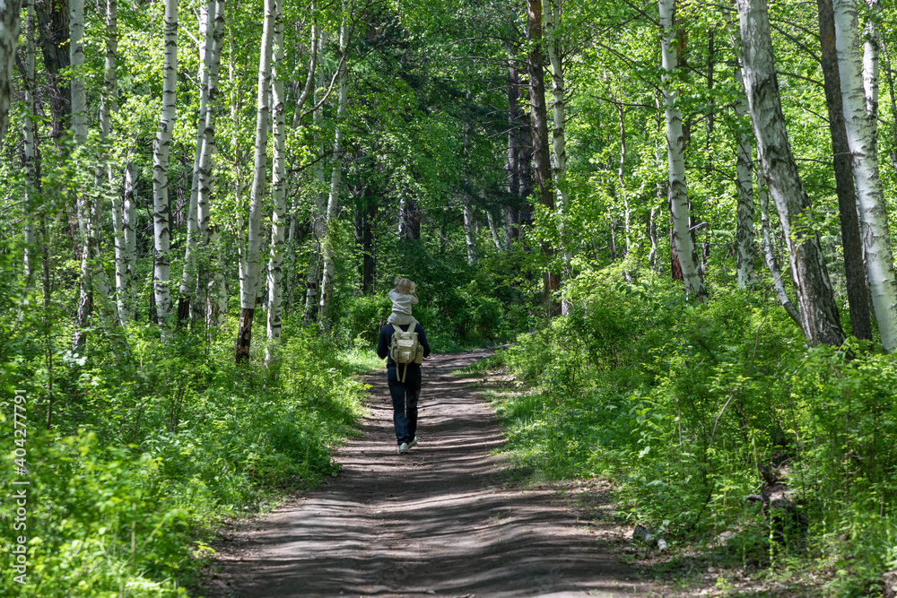 Fototapeta premium Father walks along a forest trail with his little daughter
