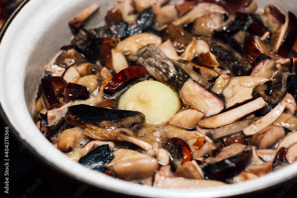 Cooking forest edible mushrooms. Boil chopped Imleria badia, Suillus, Leccinum in a saucepan. Cooking forest edible mushrooms. Boil chopped Imleria badia, Suillus, Leccinum in a saucepan.