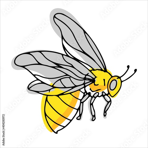 beautiful bee or wasp drawn in cartoon style. striped insect. yellow bee with blue transparent wings against a background of yellow honeycombs. vector illustration